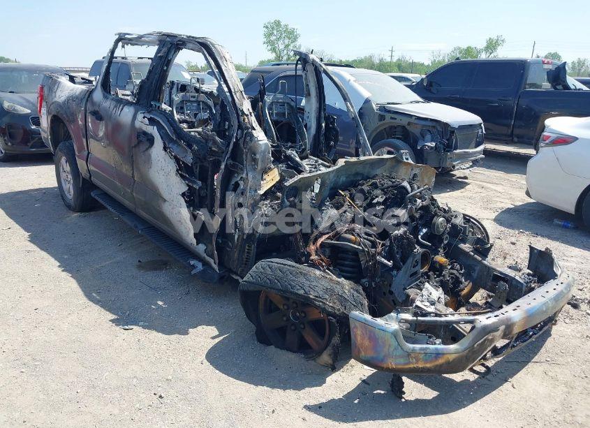 2023 Ford F-150 XLT (VIN 1FTFW1ED3PFC61401) main photo