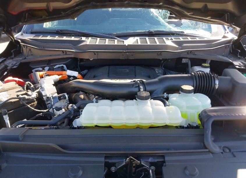 Photo 10 of 2023 Ford F-150 XLT (VIN 1FTFW1ED3PFD06546)