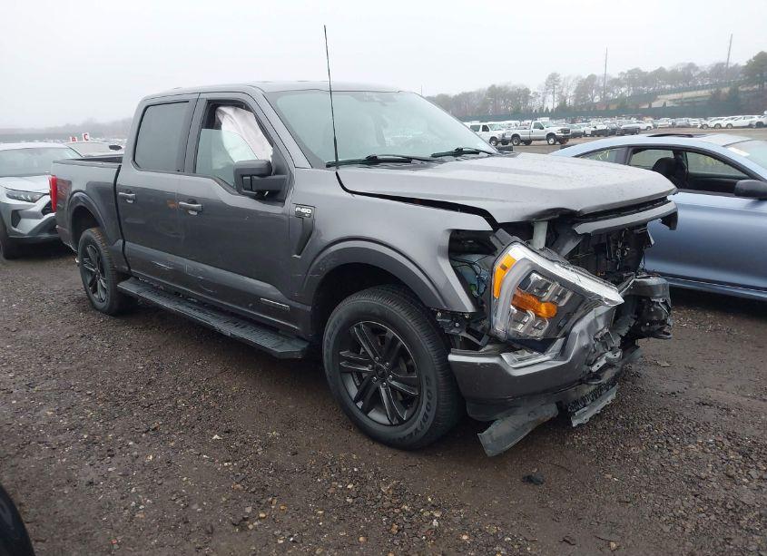 2021 Ford F-150 XLT (VIN 1FTFW1ED4MFC16477) main photo