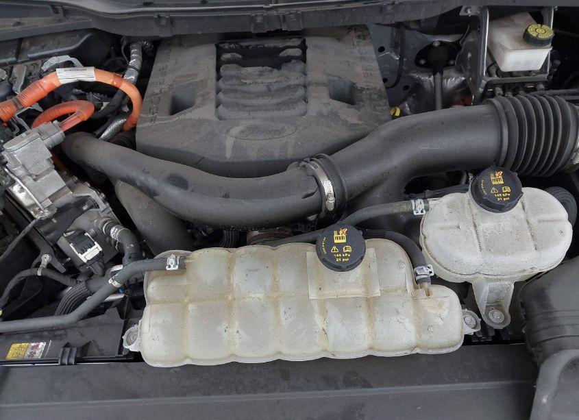 Photo 10 of 2021 Ford F-150 XLT (VIN 1FTFW1ED4MFC16477)