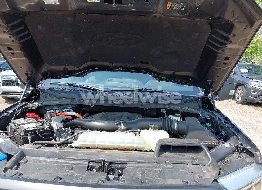 Photo 10 of 2021 Ford F-150 XLT (VIN 1FTFW1ED4MFD00170)