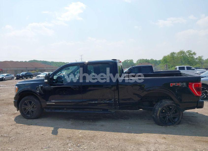 Photo 14 of 2021 Ford F-150 XLT (VIN 1FTFW1ED4MFD00170)