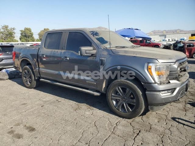 2023 FORD F150 SUPERCREW (VIN 1FTFW1ED4PFA55827) main photo