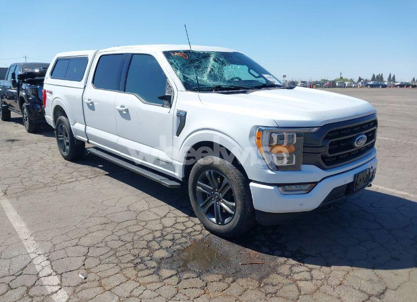 2023 Ford F-150 XLT (VIN 1FTFW1ED4PFB79015) main photo