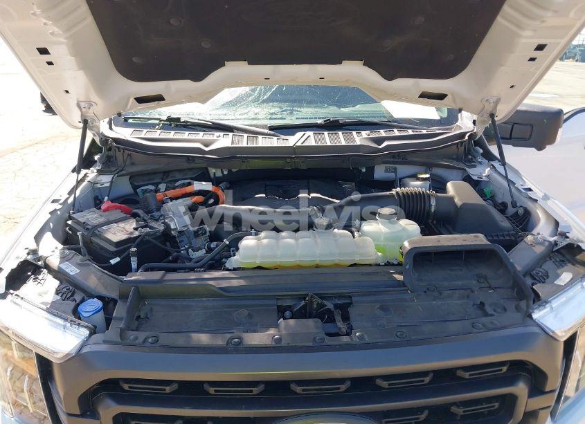 Photo 10 of 2023 Ford F-150 XLT (VIN 1FTFW1ED4PFB79015)