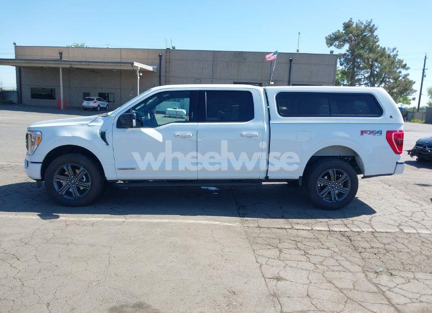 Photo 14 of 2023 Ford F-150 XLT (VIN 1FTFW1ED4PFB79015)