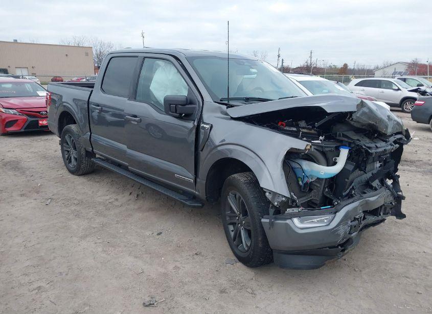 2023 Ford F-150 XLT (VIN 1FTFW1ED5PFC75607) main photo