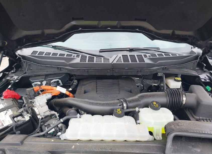 Photo 10 of 2023 Ford F-150 XLT (VIN 1FTFW1ED5PFC75607)