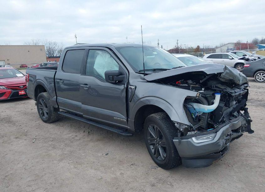 Photo 13 of 2023 Ford F-150 XLT (VIN 1FTFW1ED5PFC75607)