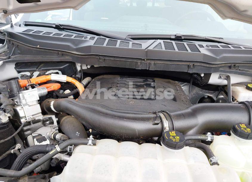 Photo 10 of 2021 Ford F-150 PLATINUM (VIN 1FTFW1ED6MFA56361)