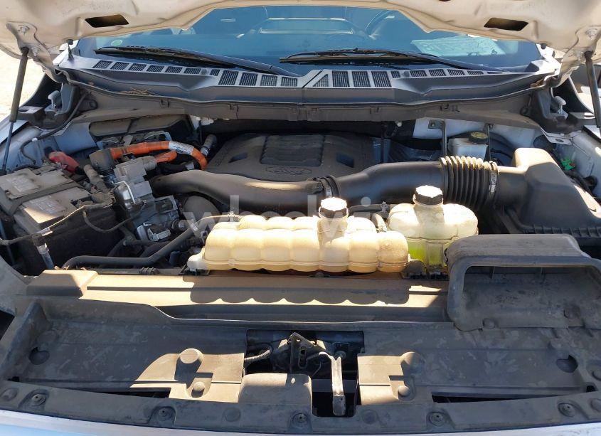 Photo 10 of 2021 Ford F-150 LIMITED (VIN 1FTFW1ED7MFB49826)