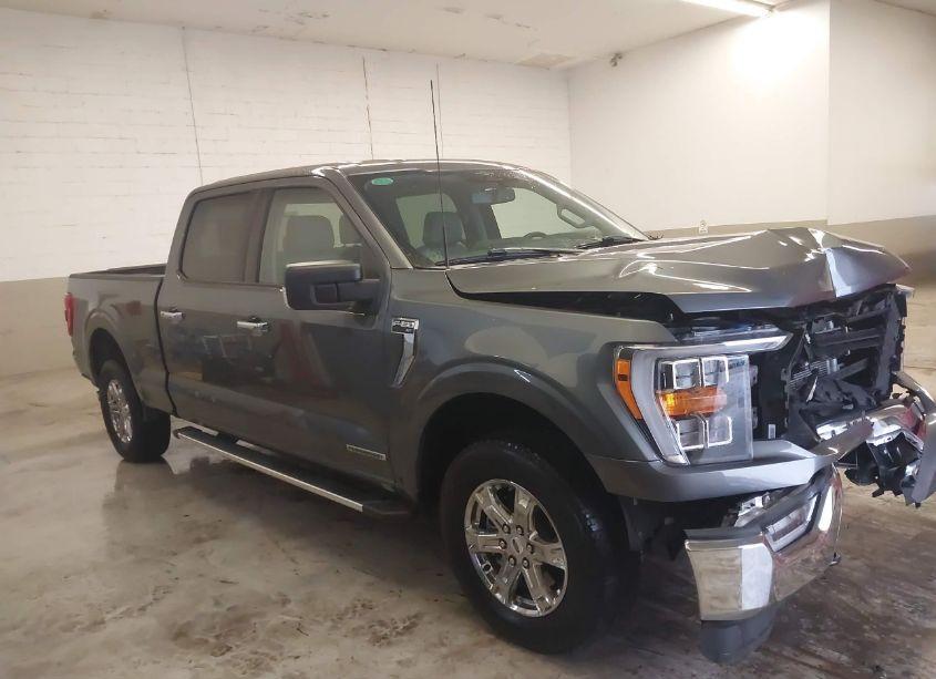 Photo 14 of 2023 Ford F-150 XLT (VIN 1FTFW1ED9PFB51579)