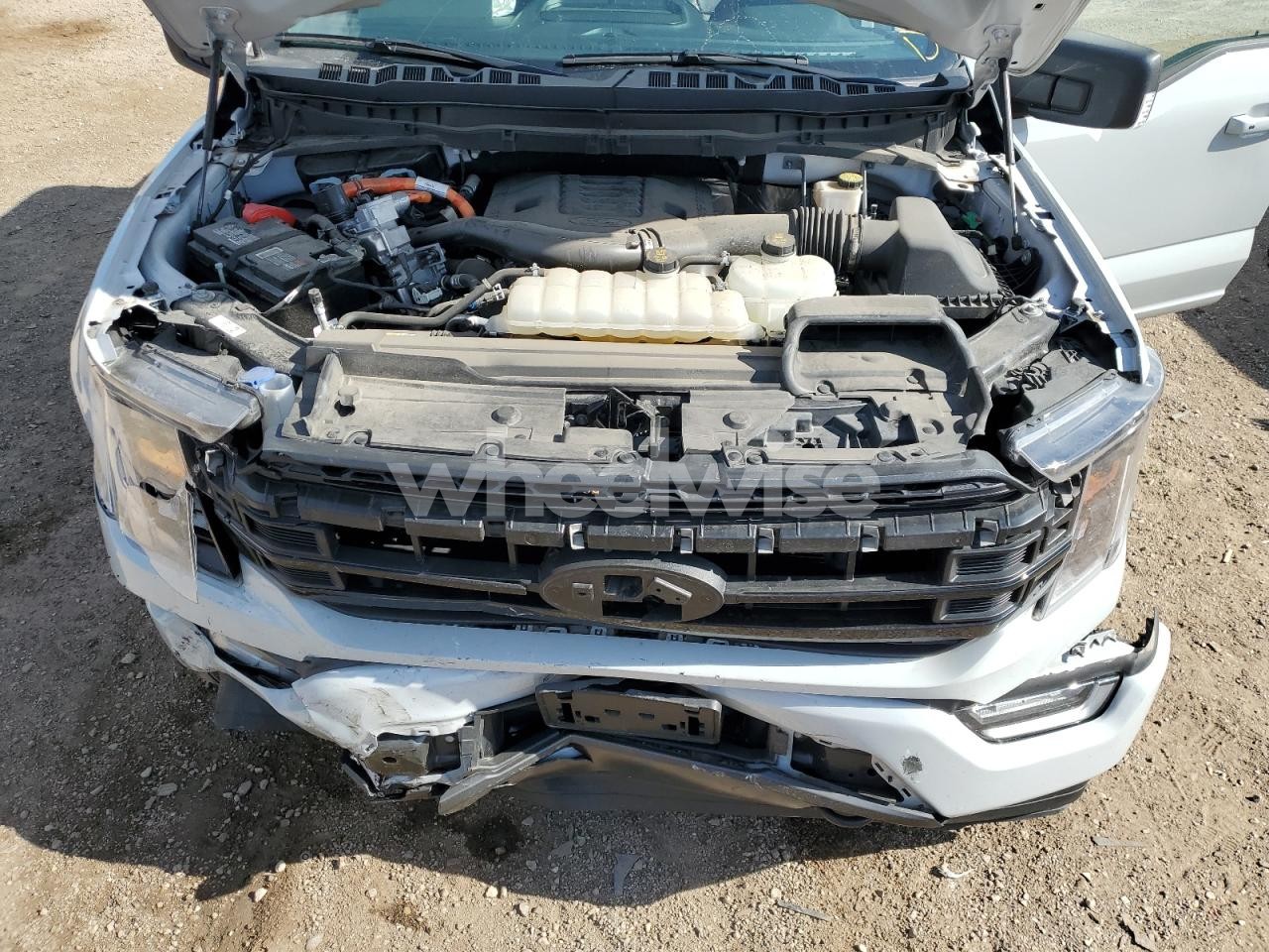 Photo 11 of 2023 FORD F150 SUPERCREW (VIN 1FTFW1ED9PFC62519)