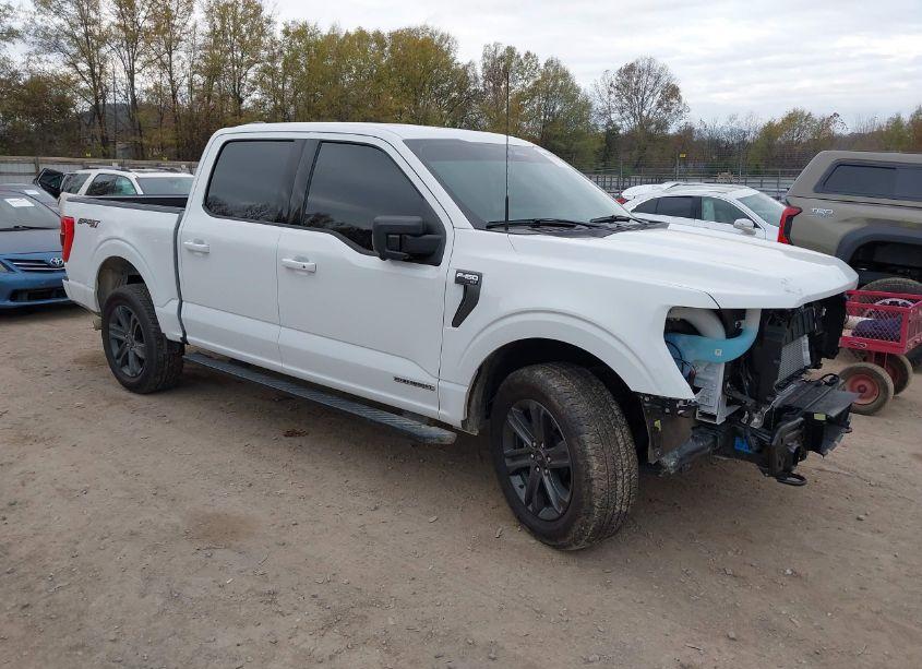 2023 Ford F-150 XLT (VIN 1FTFW1EDXPFD06320) main photo