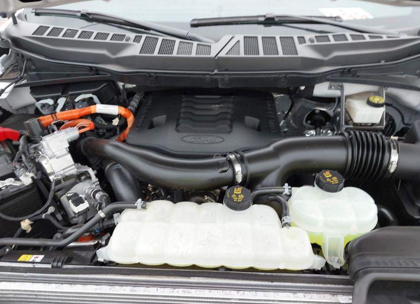 Photo 10 of 2023 Ford F-150 XLT (VIN 1FTFW1EDXPFD06320)