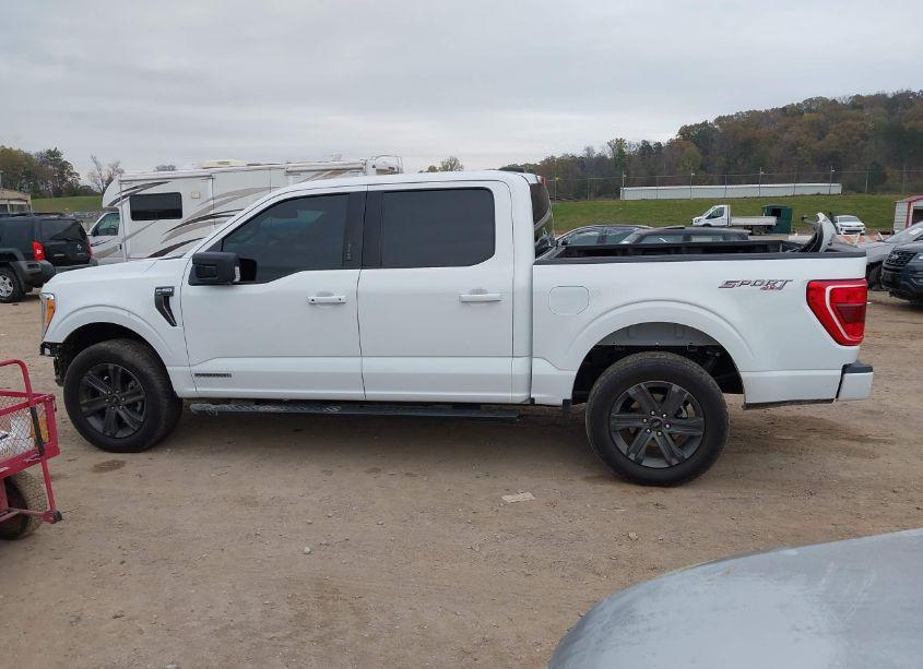 Photo 15 of 2023 Ford F-150 XLT (VIN 1FTFW1EDXPFD06320)