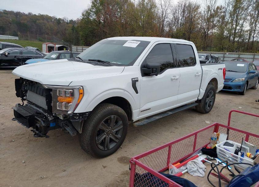 Photo 2 of 2023 Ford F-150 XLT (VIN 1FTFW1EDXPFD06320)
