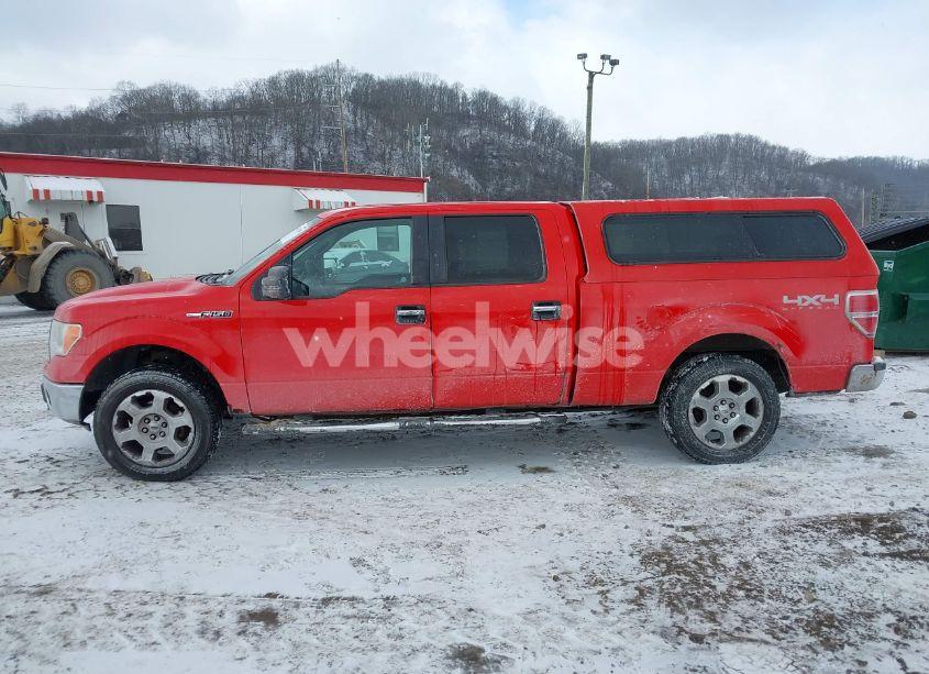 Photo 14 of 2011 Ford F-150 XLT (VIN 1FTFW1EF0BFA36489)