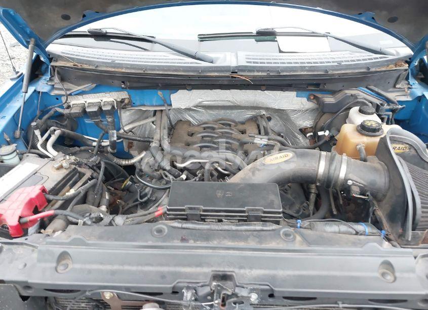 Photo 10 of 2011 Ford F-150 XLT (VIN 1FTFW1EF0BFA37402)