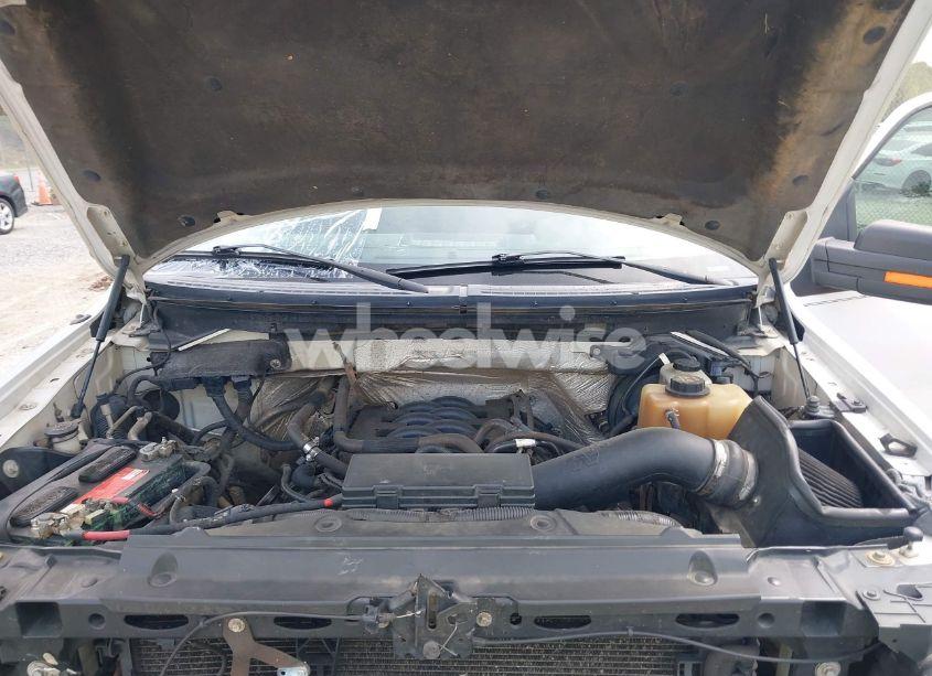 Photo 10 of 2011 Ford F-150 XLT (VIN 1FTFW1EF0BKD38842)