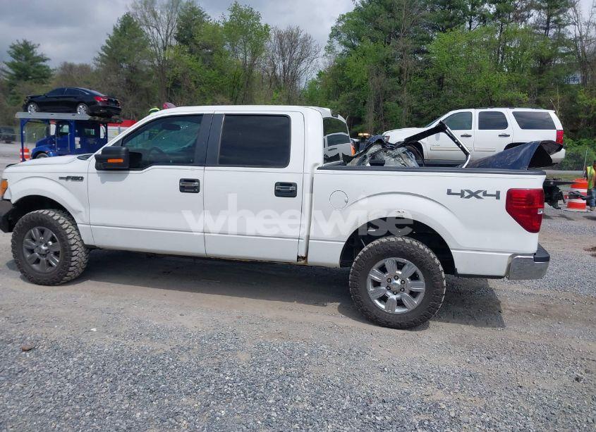 Photo 14 of 2011 Ford F-150 XLT (VIN 1FTFW1EF0BKD38842)