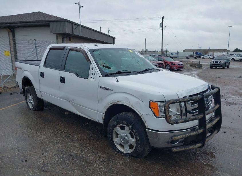 2012 Ford F-150 XLT (VIN 1FTFW1EF0CKE00113) main photo