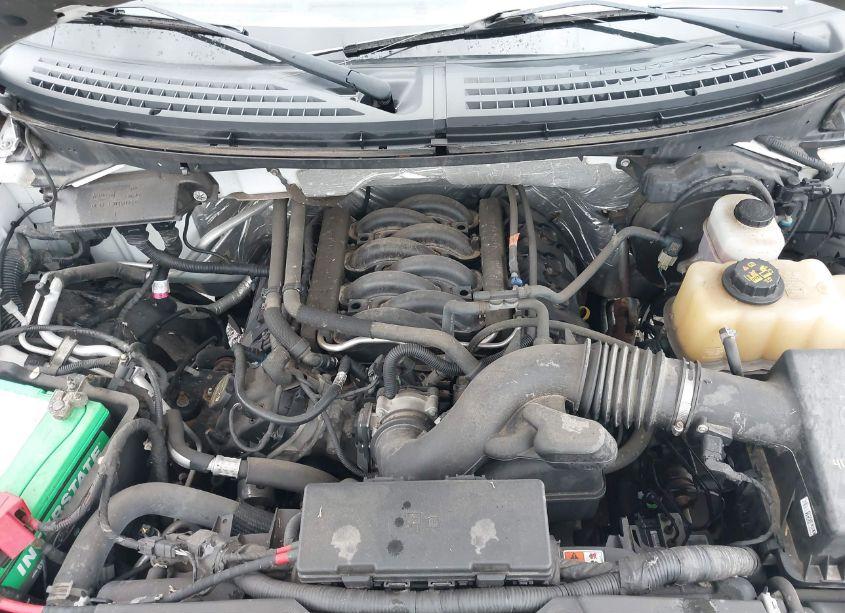 Photo 10 of 2012 Ford F-150 XLT (VIN 1FTFW1EF0CKE00113)