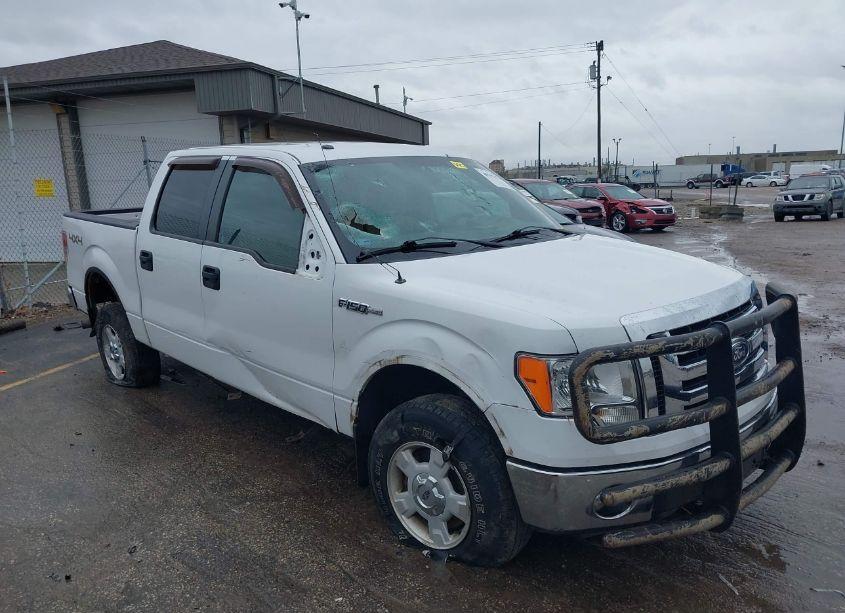 Photo 6 of 2012 Ford F-150 XLT (VIN 1FTFW1EF0CKE00113)