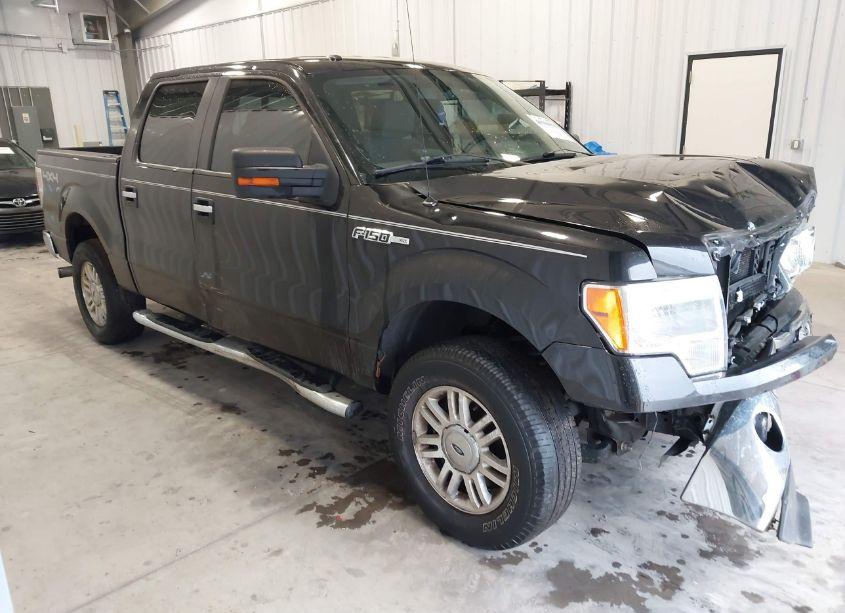 2013 Ford F-150 XLT (VIN 1FTFW1EF0DFB72270) main photo