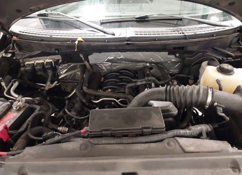 Photo 10 of 2013 Ford F-150 XLT (VIN 1FTFW1EF0DFB72270)