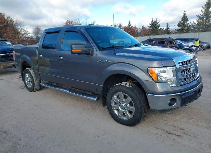 2013 Ford F-150 XLT (VIN 1FTFW1EF0DKF24593) main photo