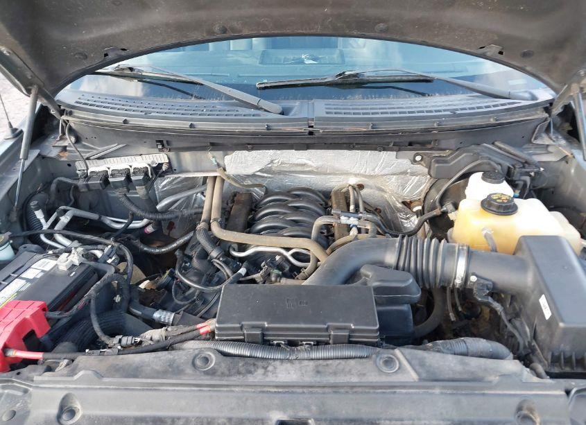 Photo 10 of 2013 Ford F-150 XLT (VIN 1FTFW1EF0DKF24593)