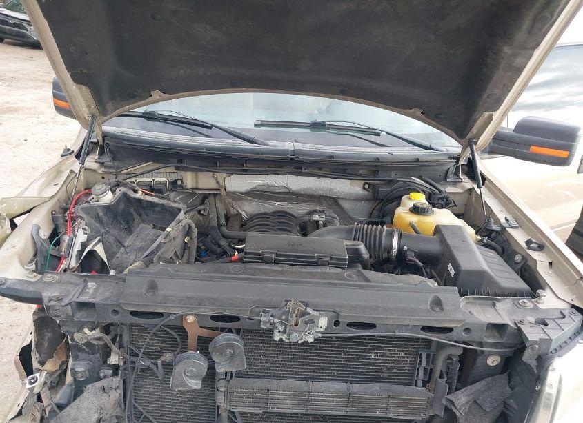 Photo 10 of 2014 Ford F-150 XLT (VIN 1FTFW1EF0EKD09863)