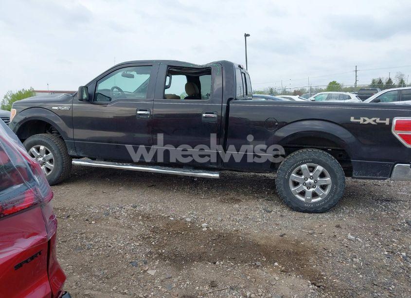 Photo 14 of 2014 Ford F-150 XLT (VIN 1FTFW1EF0EKF14390)