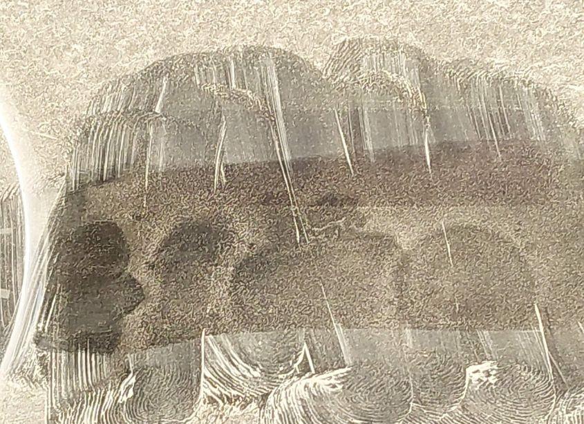 Photo 14 of 2014 Ford F-150 XLT (VIN 1FTFW1EF0EKF78087)