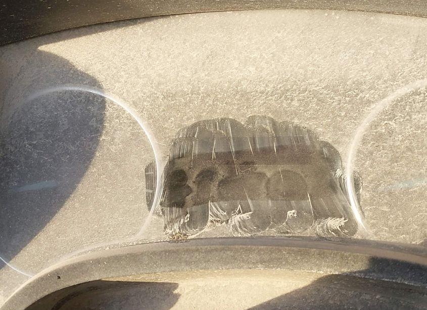 Photo 7 of 2014 Ford F-150 XLT (VIN 1FTFW1EF0EKF78087)