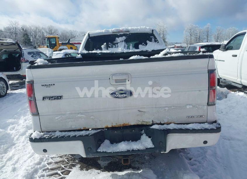 Photo 16 of 2014 Ford F-150 FX4 (VIN 1FTFW1EF0EKF82625)