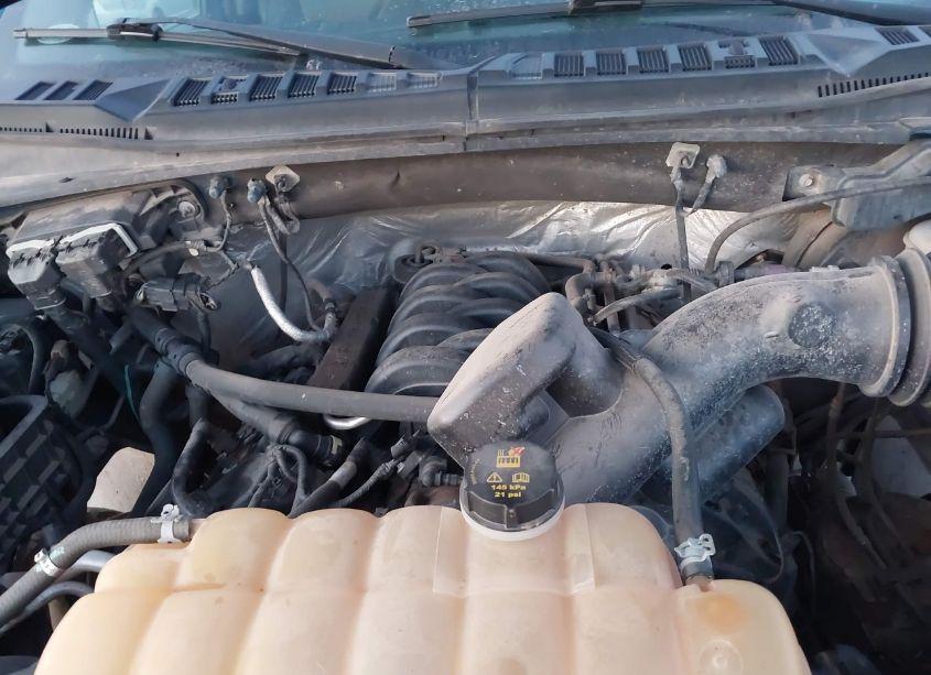 Photo 10 of 2015 Ford F-150 XLT (VIN 1FTFW1EF0FKE25839)