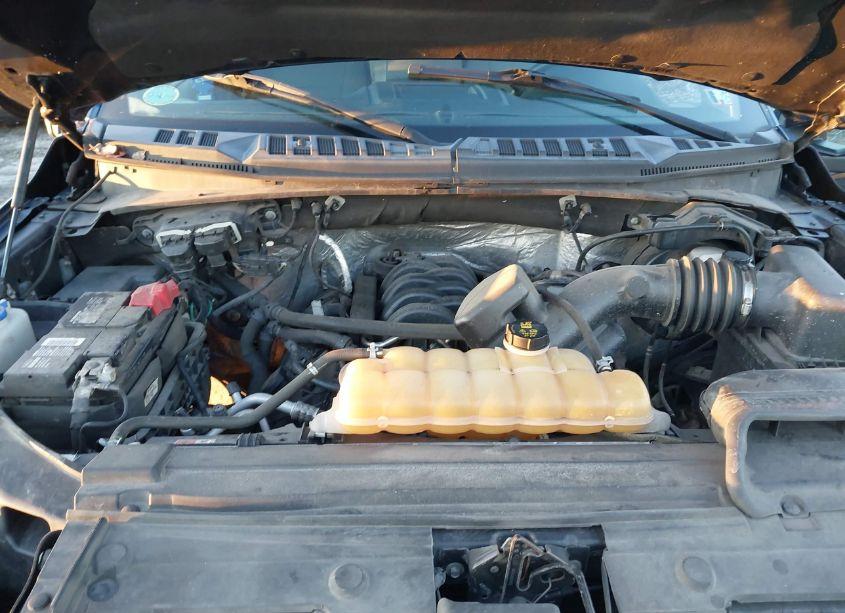 Photo 10 of 2016 Ford F-150 XLT (VIN 1FTFW1EF0GFA91743)