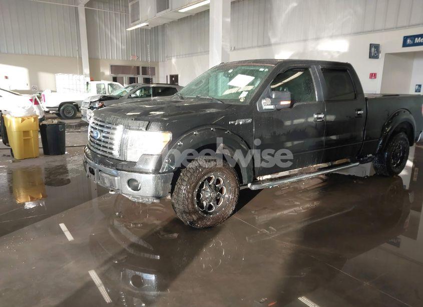 Photo 2 of 2011 Ford F-150 XLT (VIN 1FTFW1EF1BFA01556)