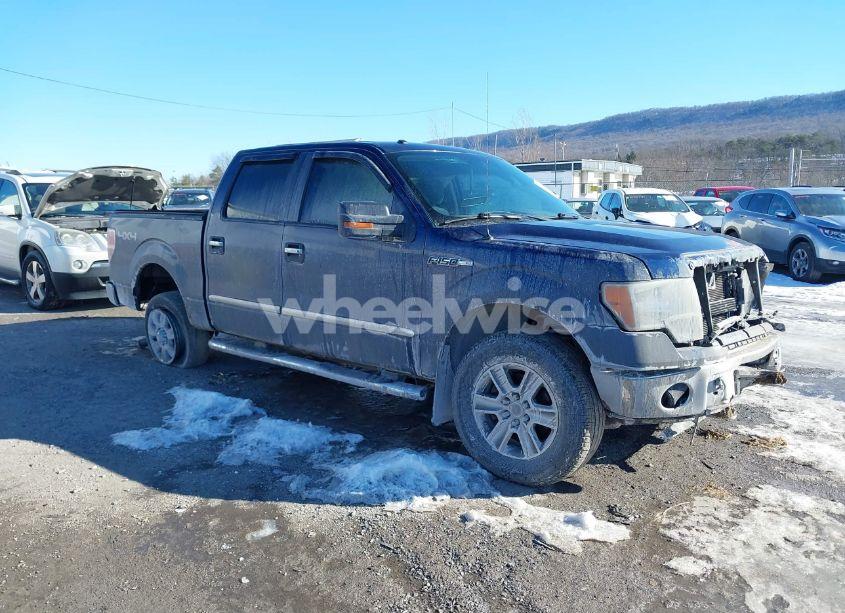 2011 Ford F-150 XLT (VIN 1FTFW1EF1BFB67950) main photo