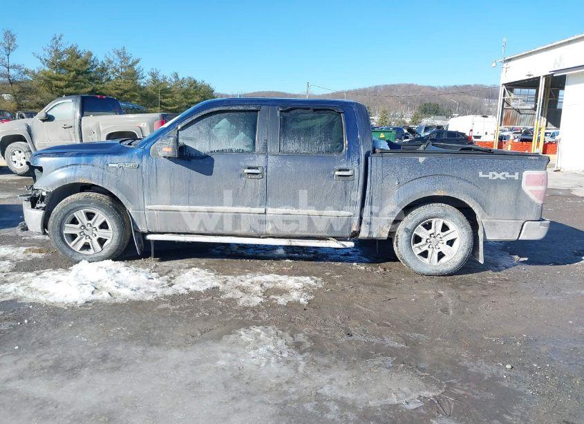 Photo 14 of 2011 Ford F-150 XLT (VIN 1FTFW1EF1BFB67950)