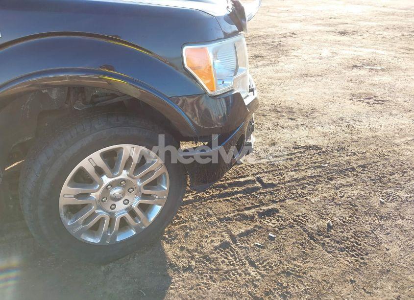 Photo 6 of 2011 Ford F-150 PLATINUM (VIN 1FTFW1EF1BFC68499)