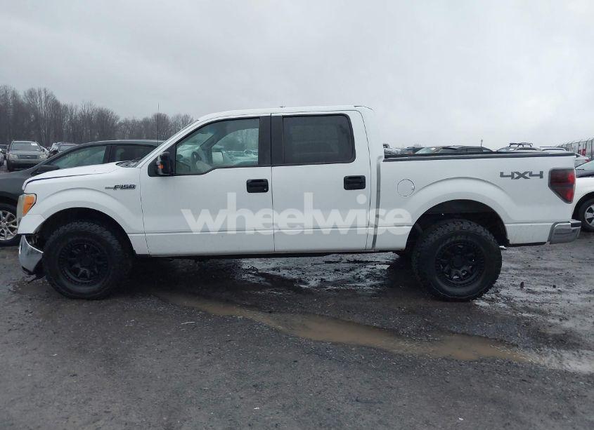 Photo 15 of 2011 Ford F-150 XLT (VIN 1FTFW1EF1BKD31270)
