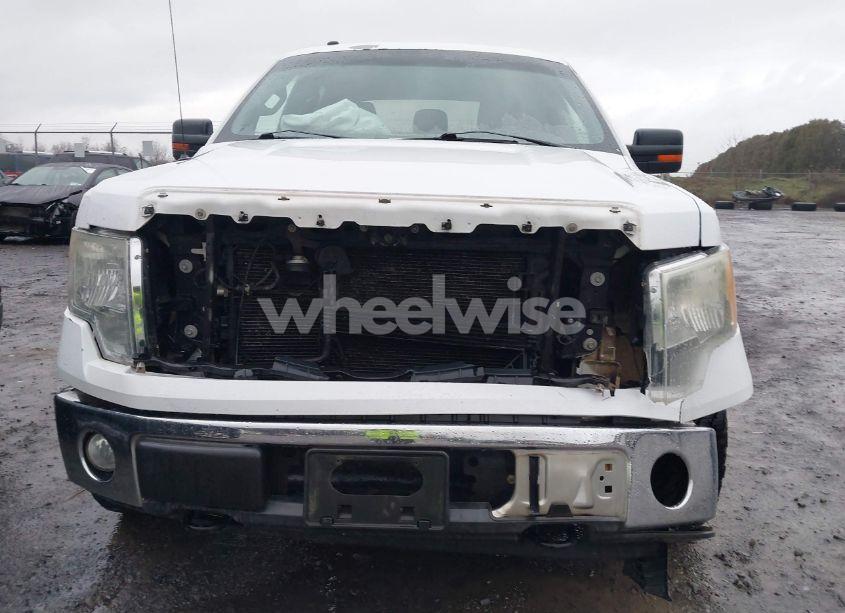 Photo 6 of 2011 Ford F-150 XLT (VIN 1FTFW1EF1BKD31270)