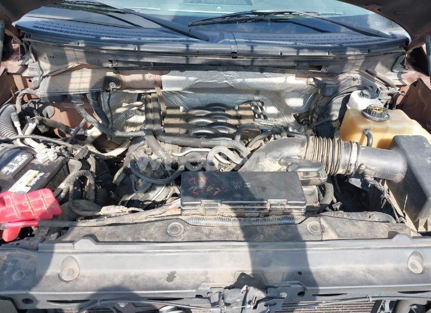 Photo 10 of 2011 Ford F-150 XLT (VIN 1FTFW1EF1BKD71400)