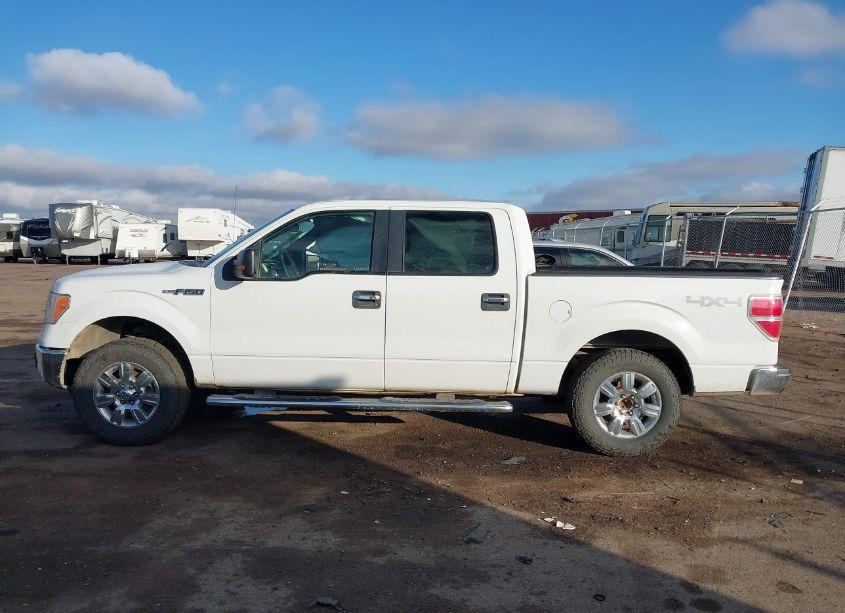 Photo 14 of 2012 Ford F-150 XLT (VIN 1FTFW1EF1CFA74900)