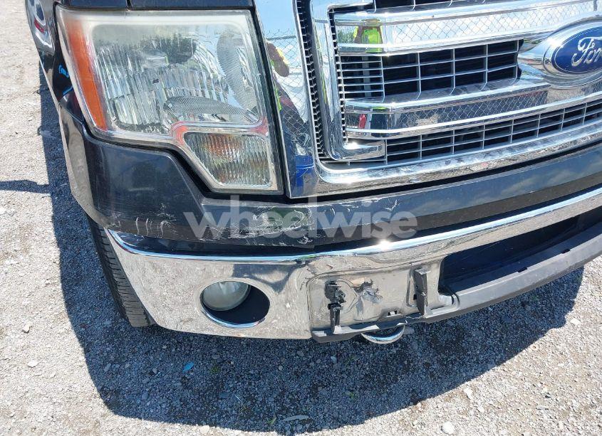 Photo 19 of 2013 Ford F-150 XLT (VIN 1FTFW1EF1DFA65017)