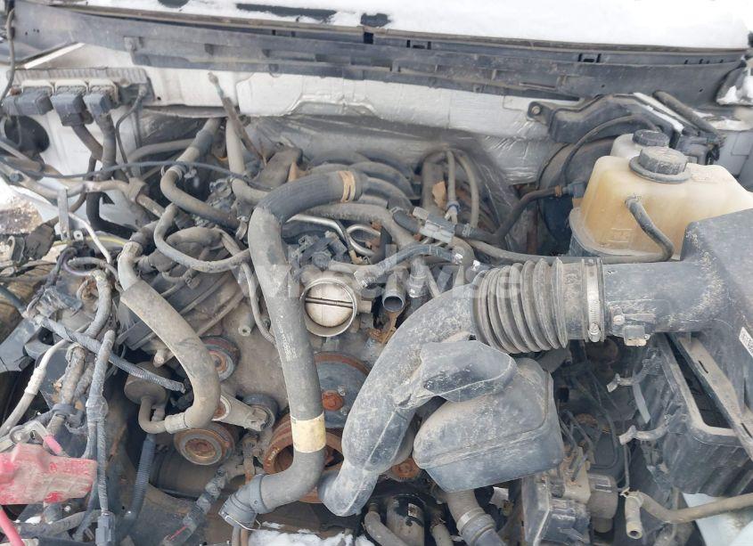 Photo 10 of 2013 Ford F-150 XL (VIN 1FTFW1EF1DFC14283)