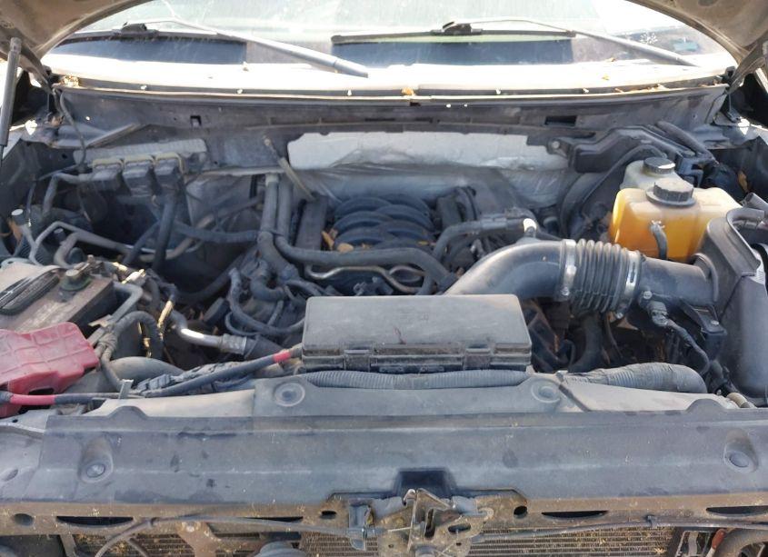 Photo 10 of 2013 Ford F-150 FX4 (VIN 1FTFW1EF1DFD80920)